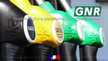 Remboursement de la TICPE : une opportunité à ne pas manquer pour les professionnels du cheval